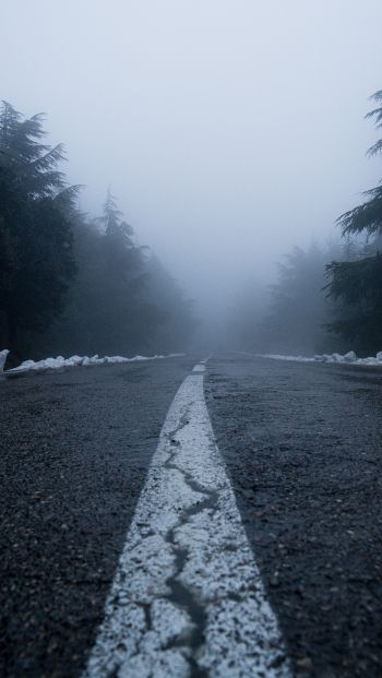 Обои 640x1136 дорога, туман, лес, снег