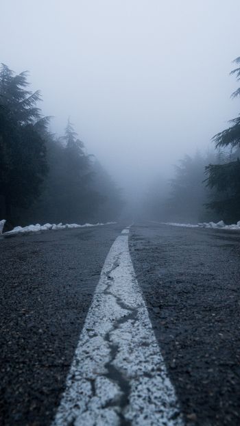 Обои 1080x1920 дорога, туман, лес, снег