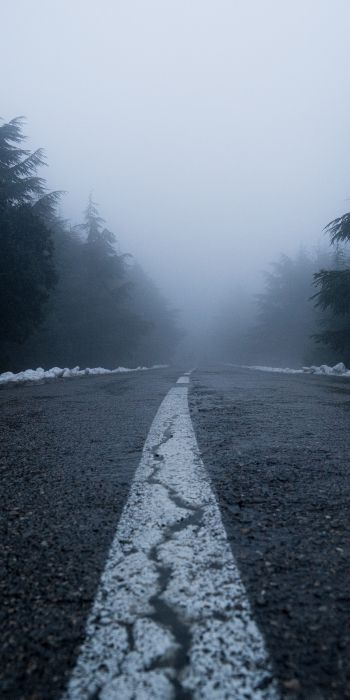 Обои 720x1440 дорога, туман, лес, снег