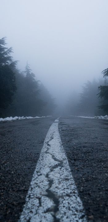 road, fog, forest, snow Wallpaper 1080x2220