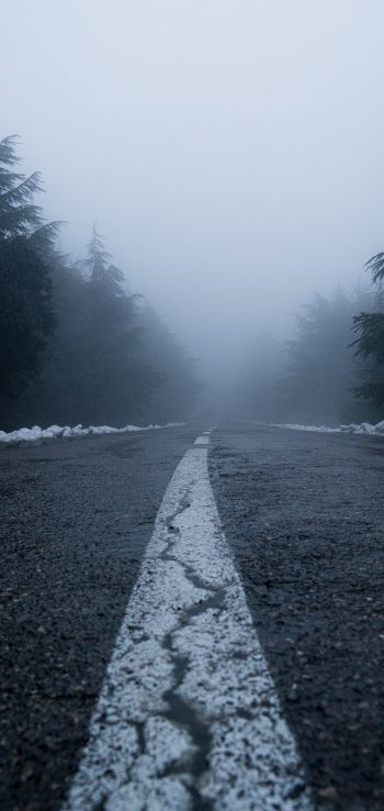 road, fog, forest, snow Wallpaper 1080x2280