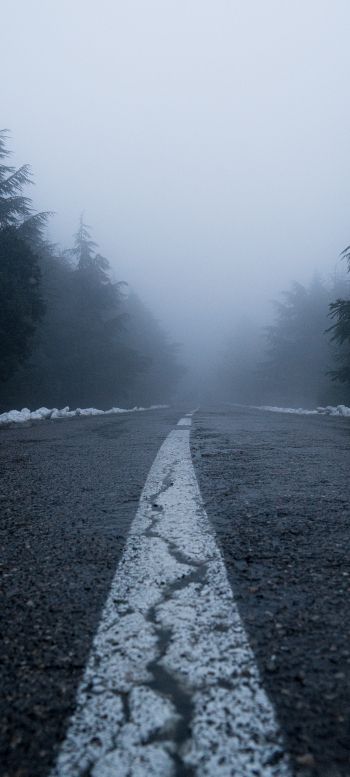 road, fog, forest, snow Wallpaper 1440x3200