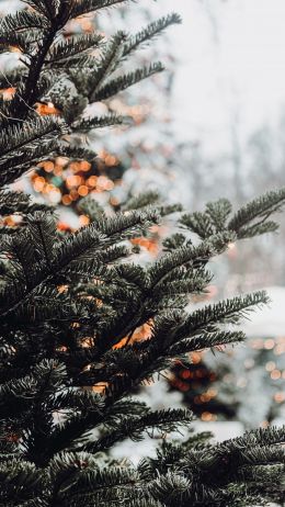 spruce, winter, snow, New Year, holiday, street Wallpaper 1080x1920