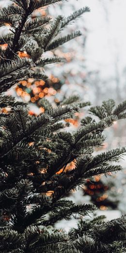 spruce, winter, snow, New Year, holiday, street Wallpaper 720x1440