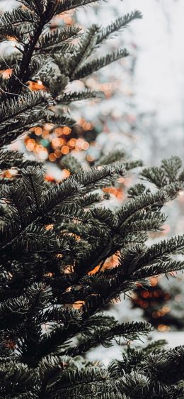 spruce, winter, snow, New Year, holiday, street Wallpaper 1284x2778