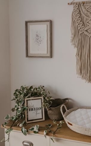 interior, frame, plants, hippie Wallpaper 1752x2800