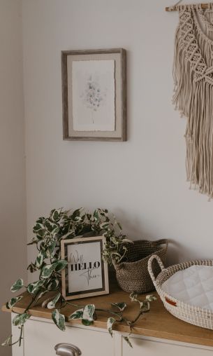 interior, frame, plants, hippie Wallpaper 1200x2000