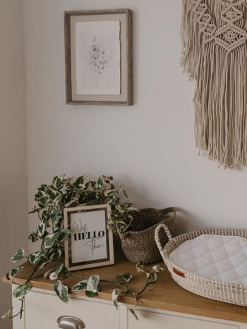 interior, frame, plants, hippie Wallpaper 1620x2160