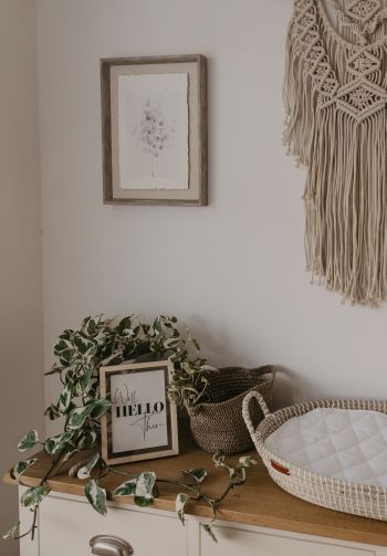 interior, frame, plants, hippie Wallpaper 1640x2360