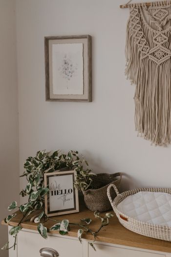 interior, frame, plants, hippie Wallpaper 640x960
