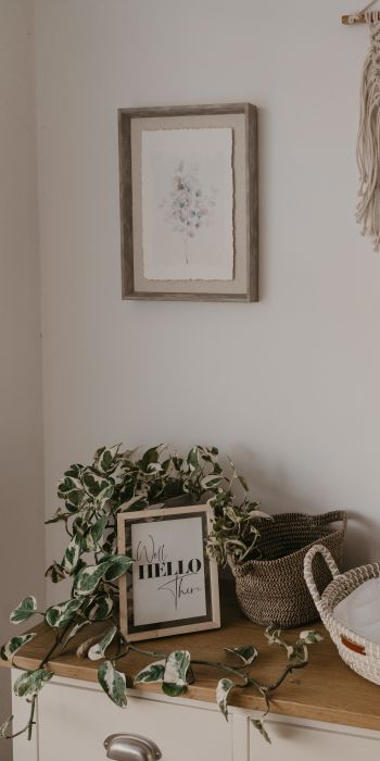 interior, frame, plants, hippie Wallpaper 720x1440