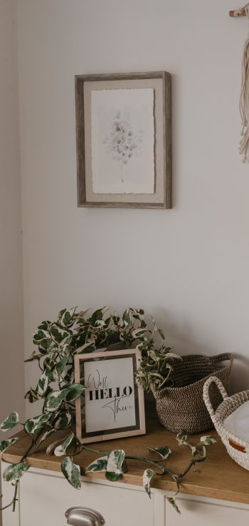 interior, frame, plants, hippie Wallpaper 1080x2280