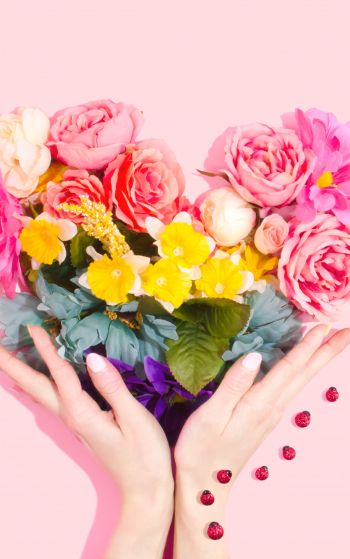 Обои 1752x2800 цветы, руки, сердце, розовый фон