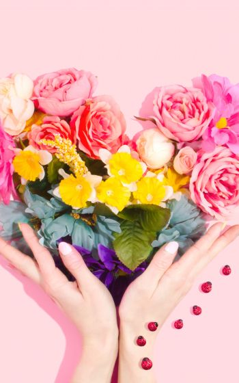 Обои 1200x1920 цветы, руки, сердце, розовый фон