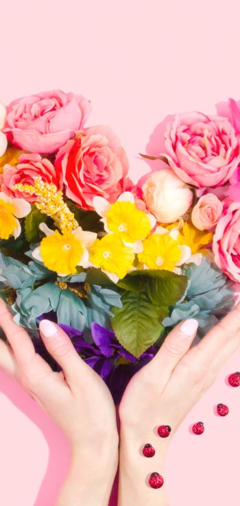 flowers, hands, heart, pink background Wallpaper 1080x2280