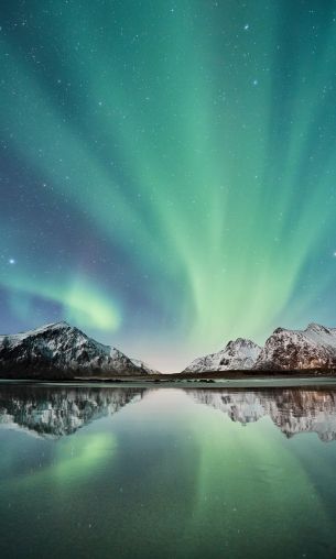 northern lights, mountains, lake Wallpaper 1200x2000