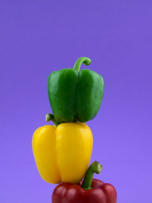 bell pepper, color Wallpaper 2048x2732