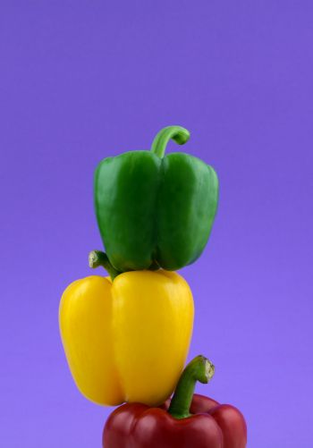 bell pepper, color Wallpaper 1668x2388