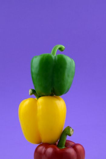 bell pepper, color Wallpaper 640x960