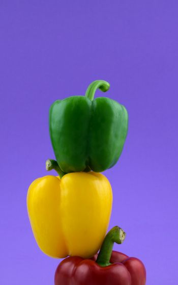 bell pepper, color Wallpaper 1752x2800