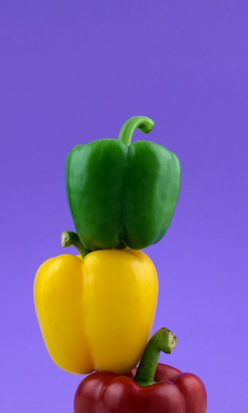 bell pepper, color Wallpaper 1200x2000