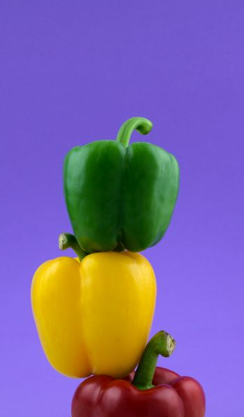 bell pepper, color Wallpaper 600x1024