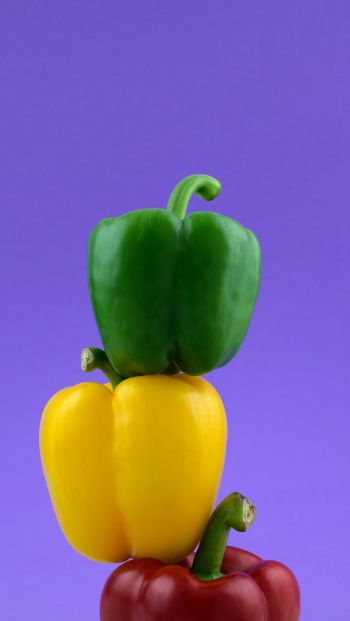 bell pepper, color Wallpaper 640x1136