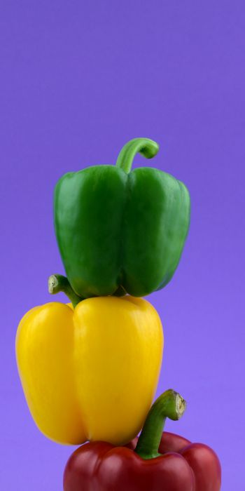 bell pepper, color Wallpaper 720x1440