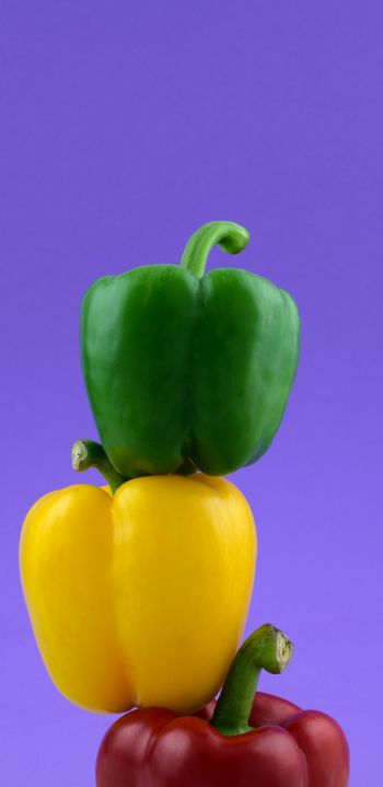 bell pepper, color Wallpaper 1440x2960