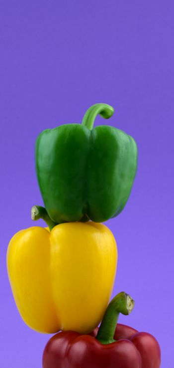 bell pepper, color Wallpaper 1080x2280