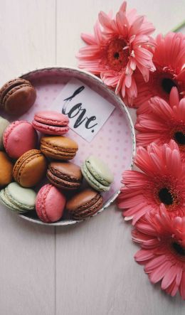 flowers, love, dessert Wallpaper 600x1024