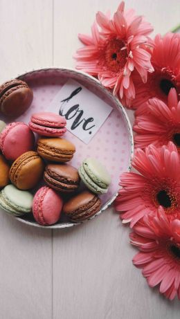 flowers, love, dessert Wallpaper 640x1136