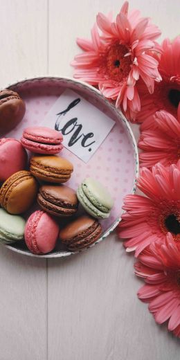 flowers, love, dessert Wallpaper 720x1440