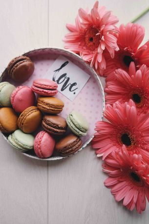 flowers, love, dessert Wallpaper 640x960