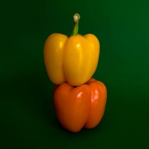 Обои 2859x2859 желтый перец, овощ