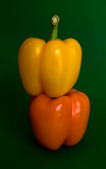 yellow pepper, vegetable Wallpaper 1752x2800