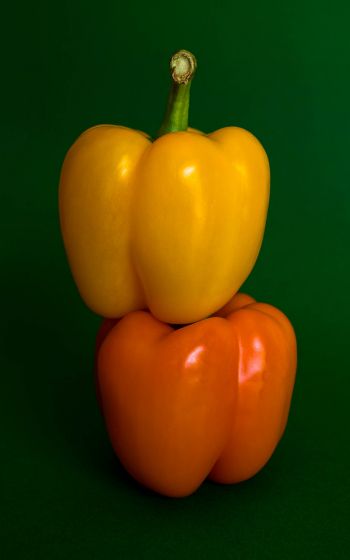 yellow pepper, vegetable Wallpaper 800x1280