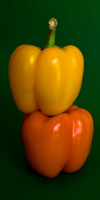 Обои 720x1440 желтый перец, овощ