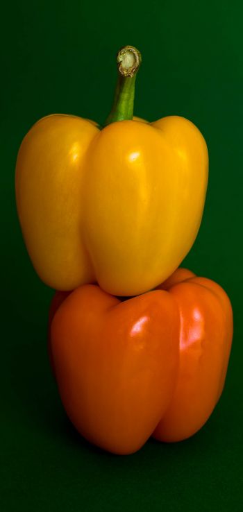 Обои 1080x2280 желтый перец, овощ