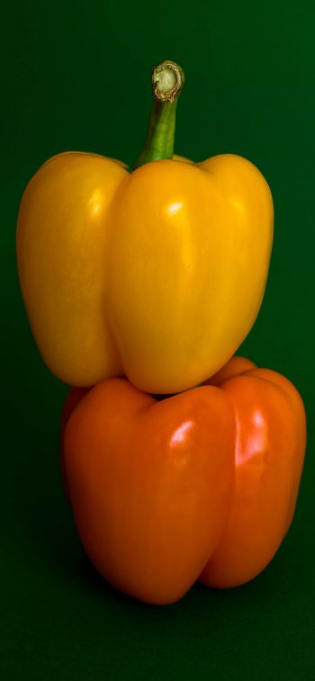 Обои 1125x2436 желтый перец, овощ