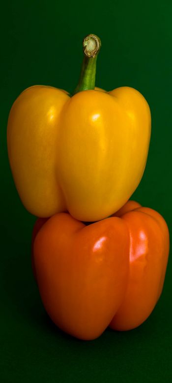 Обои 1080x2400 желтый перец, овощ