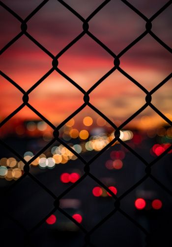 lattice, sunset, city lights Wallpaper 1640x2360