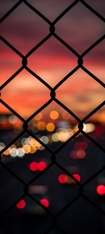 lattice, sunset, city lights Wallpaper 1440x3200