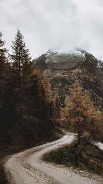 larch, road, mountains Wallpaper 640x1136