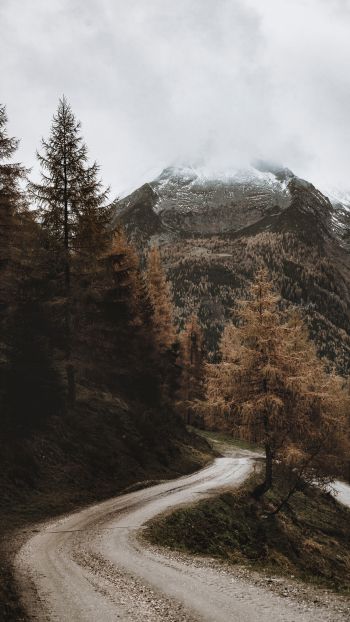 larch, road, mountains Wallpaper 1080x1920