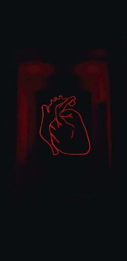Обои 1440x2960 сердце, красный, очертание