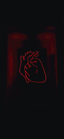 heart, red, outline Wallpaper 1080x2340