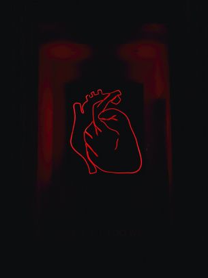 Обои 1536x2048 сердце, красный, очертание