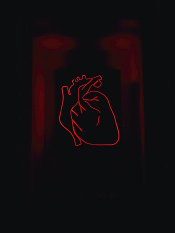 Обои 1536x2048 сердце, красный, очертание