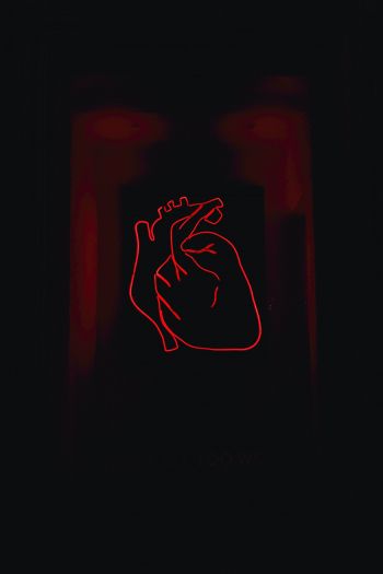 Обои 640x960 сердце, красный, очертание